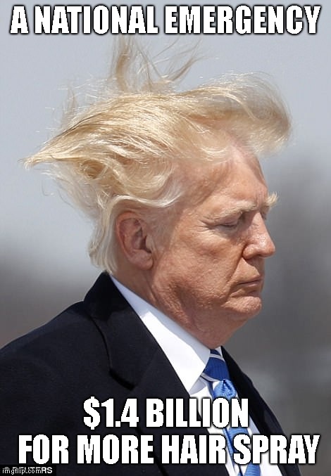 Out of Control President | A NATIONAL EMERGENCY; $1.4 BILLION FOR MORE HAIR SPRAY | image tagged in trump is insane,crazy,psychopath,national emergency | made w/ Imgflip meme maker