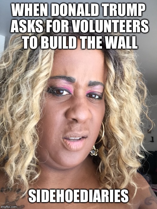 Sidehoediaries | WHEN DONALD TRUMP ASKS FOR VOLUNTEERS TO BUILD THE WALL; SIDEHOEDIARIES | image tagged in political meme,politics | made w/ Imgflip meme maker