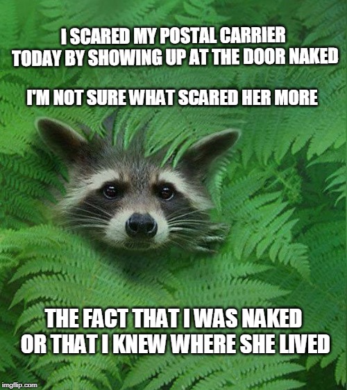 Puzzling... | I SCARED MY POSTAL CARRIER TODAY BY SHOWING UP AT THE DOOR NAKED; I'M NOT SURE WHAT SCARED HER MORE; THE FACT THAT I WAS NAKED OR THAT I KNEW WHERE SHE LIVED | image tagged in usps,postal carrier,door greetings | made w/ Imgflip meme maker