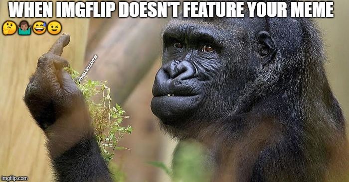 🤔🤷🏽‍♂😅😉 | image tagged in imgflip non feature | made w/ Imgflip meme maker