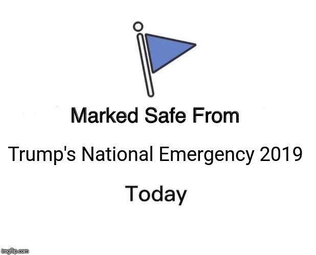 Marked Safe From | Trump's National Emergency 2019 | image tagged in marked safe from facebook meme template | made w/ Imgflip meme maker