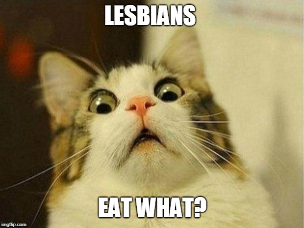 Scared Cat Meme | LESBIANS EAT WHAT? | image tagged in memes,scared cat | made w/ Imgflip meme maker