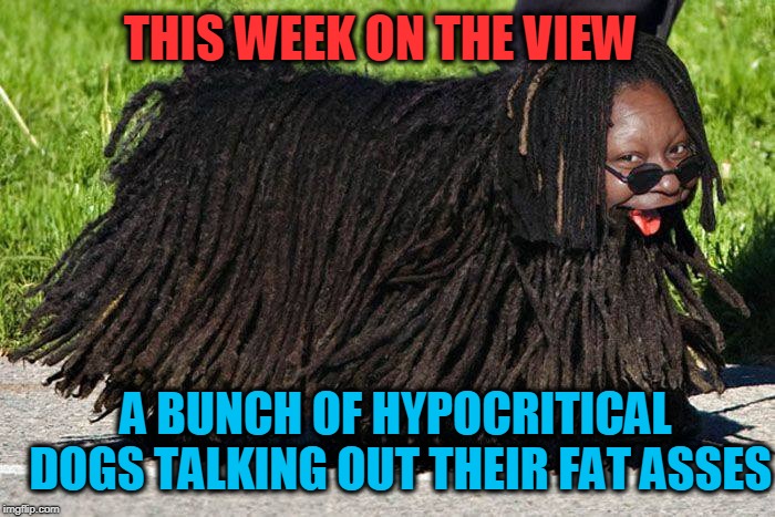 the view | A BUNCH OF HYPOCRITICAL  DOGS TALKING OUT THEIR FAT ASSES THIS WEEK ON THE VIEW | image tagged in the view | made w/ Imgflip meme maker