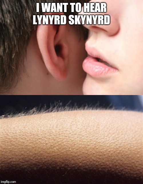 I WANT TO HEAR LYNYRD SKYNYRD | image tagged in memes | made w/ Imgflip meme maker