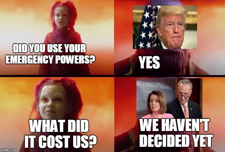thanos what did it cost | DID YOU USE YOUR EMERGENCY POWERS? YES; WE HAVEN'T DECIDED YET; WHAT DID IT COST US? | image tagged in thanos what did it cost,chuck schumer,nancy pelosi,donald trump | made w/ Imgflip meme maker