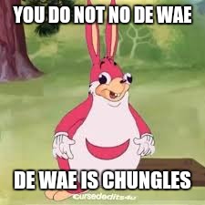 Ugandan chungles | YOU DO NOT NO DE WAE DE WAE IS CHUNGLES | image tagged in ugandan chungles | made w/ Imgflip meme maker