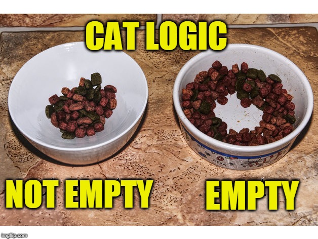 CAT LOGIC; EMPTY; NOT EMPTY | image tagged in logic,cat | made w/ Imgflip meme maker