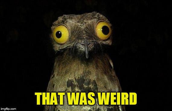 Weird Stuff I Do Potoo Meme | THAT WAS WEIRD | image tagged in memes,weird stuff i do potoo | made w/ Imgflip meme maker