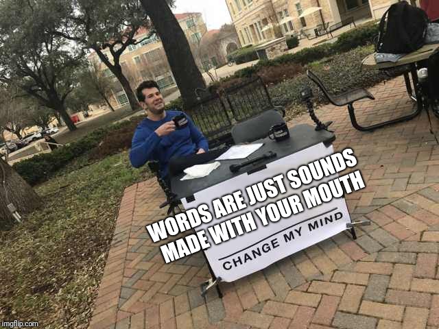 Prove me wrong | WORDS ARE JUST SOUNDS MADE WITH YOUR MOUTH | image tagged in prove me wrong | made w/ Imgflip meme maker