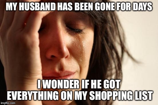 First World Problems | MY HUSBAND HAS BEEN GONE FOR DAYS; I WONDER IF HE GOT EVERYTHING ON MY SHOPPING LIST | image tagged in memes,first world problems | made w/ Imgflip meme maker
