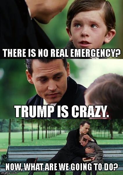 Finding Neverland | THERE IS NO REAL EMERGENCY? TRUMP IS CRAZY. NOW, WHAT ARE WE GOING TO DO? | image tagged in memes,finding neverland | made w/ Imgflip meme maker