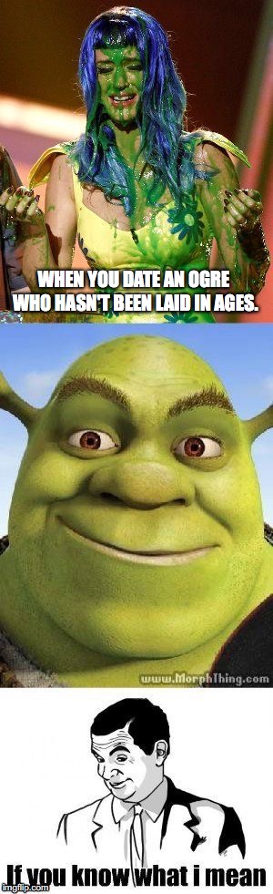 Katy Perry slimed Shrek If you know what I mean meme  | WHEN YOU DATE AN OGRE WHO HASN'T BEEN LAID IN AGES. | image tagged in katy perry slimed shrek if you know what i mean meme | made w/ Imgflip meme maker