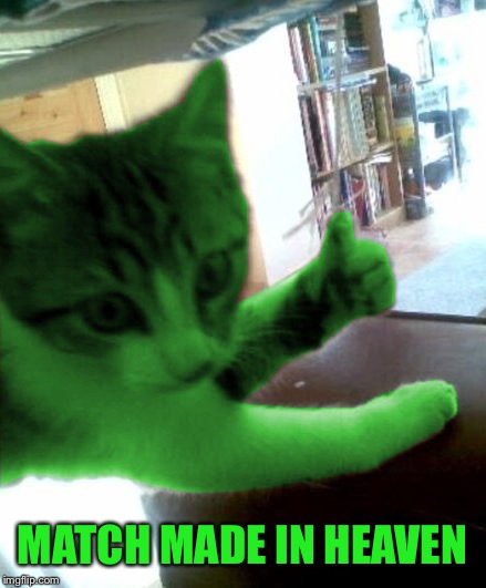 thumbs up RayCat | MATCH MADE IN HEAVEN | image tagged in thumbs up raycat | made w/ Imgflip meme maker