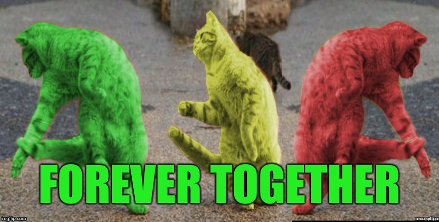 Three Dancing RayCats | FOREVER TOGETHER | image tagged in three dancing raycats | made w/ Imgflip meme maker