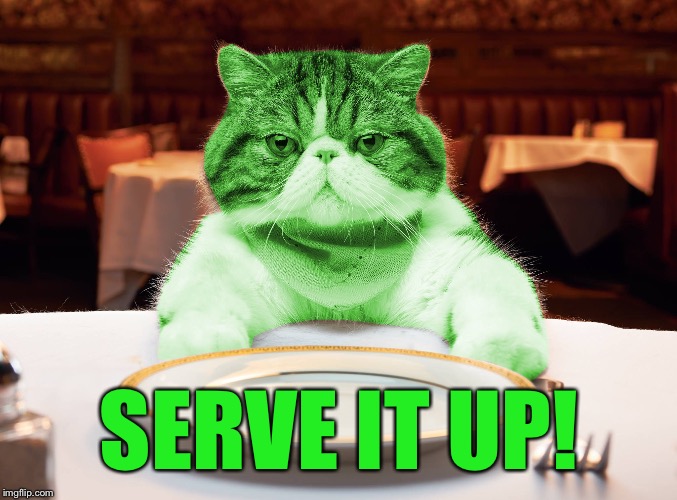 RayCat Hungry | SERVE IT UP! | image tagged in raycat hungry | made w/ Imgflip meme maker