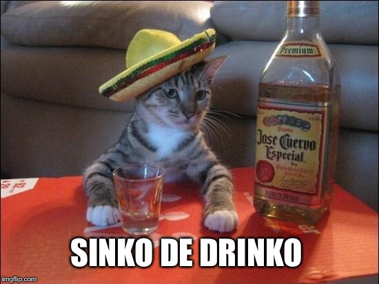 Tequila Cat | SINKO DE DRINKO | image tagged in tequila cat | made w/ Imgflip meme maker