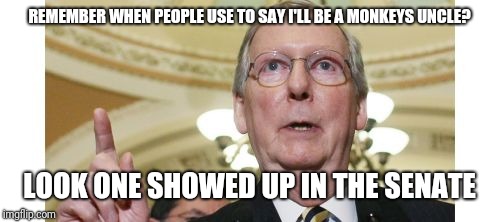 Mitch McConnell Meme | REMEMBER WHEN PEOPLE USE TO SAY I'LL BE A MONKEYS UNCLE? LOOK ONE SHOWED UP IN THE SENATE | image tagged in memes,mitch mcconnell | made w/ Imgflip meme maker