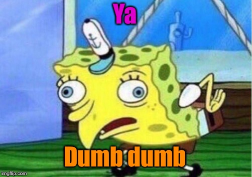 Mocking Spongebob Meme | Ya; Dumb dumb | image tagged in memes,mocking spongebob | made w/ Imgflip meme maker