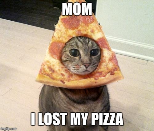 pizza cat | MOM; I LOST MY PIZZA | image tagged in pizza cat | made w/ Imgflip meme maker