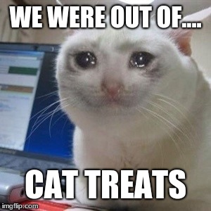 Crying cat |  WE WERE OUT OF.... CAT TREATS | image tagged in crying cat | made w/ Imgflip meme maker