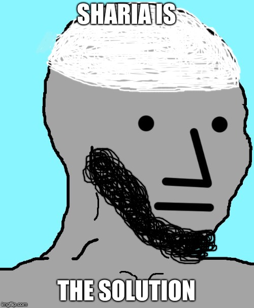 MUSLAMIST NPC | SHARIA IS; THE SOLUTION | image tagged in memes,npc,islam,sharia law | made w/ Imgflip meme maker