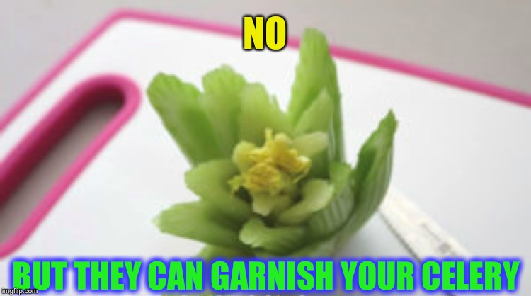 NO BUT THEY CAN GARNISH YOUR CELERY | made w/ Imgflip meme maker