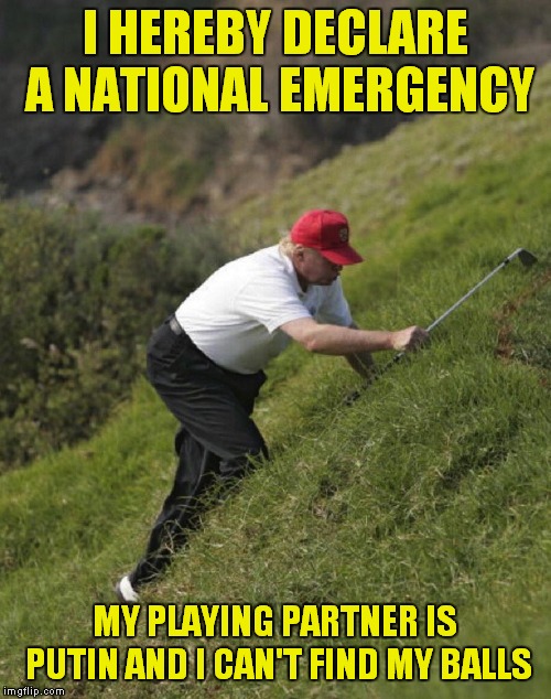 A Good Grovel Spoiled.. | I HEREBY DECLARE A NATIONAL EMERGENCY; MY PLAYING PARTNER IS PUTIN AND I CAN'T FIND MY BALLS | image tagged in donald trump hunting for a golfball,donald trump | made w/ Imgflip meme maker