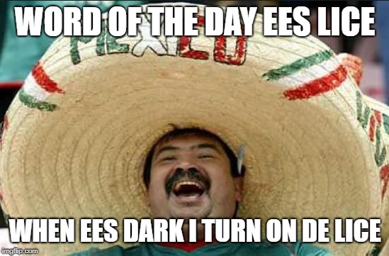 mexican word of the day | WORD OF THE DAY EES LICE; WHEN EES DARK I TURN ON DE LICE | image tagged in mexican word of the day | made w/ Imgflip meme maker