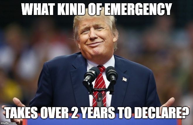 Constipated Trump | WHAT KIND OF EMERGENCY; TAKES OVER 2 YEARS TO DECLARE? | image tagged in constipated trump | made w/ Imgflip meme maker