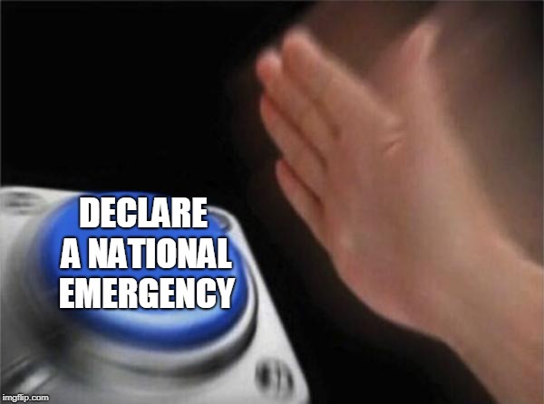 Blank Nut Button Meme | DECLARE A NATIONAL EMERGENCY | image tagged in memes,blank nut button | made w/ Imgflip meme maker
