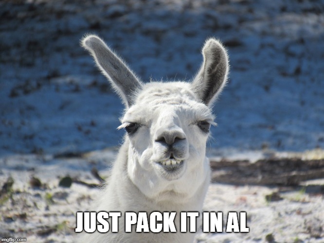 Derp | JUST PACK IT IN AL | image tagged in derp | made w/ Imgflip meme maker