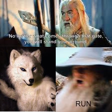 image tagged in gandalf | made w/ Imgflip meme maker