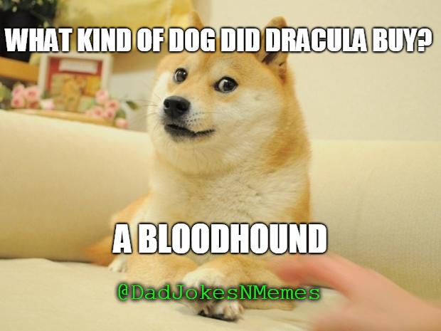 [Corny] Would this dog wait outside at the blood bank? | WHAT KIND OF DOG DID DRACULA BUY? A BLOODHOUND; @DadJokesNMemes | image tagged in memes,doge 2,dracula,corny joke | made w/ Imgflip meme maker