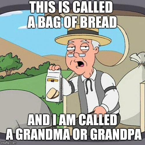 Pepperidge Farm Remembers Meme | THIS IS CALLED A BAG OF BREAD; AND I AM CALLED A GRANDMA OR GRANDPA | image tagged in memes,pepperidge farm remembers | made w/ Imgflip meme maker
