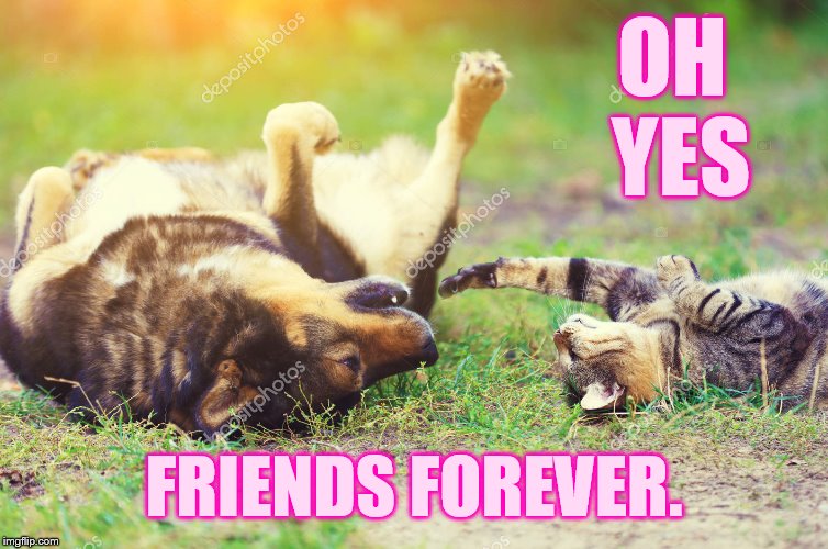 OH YES FRIENDS FOREVER. | made w/ Imgflip meme maker