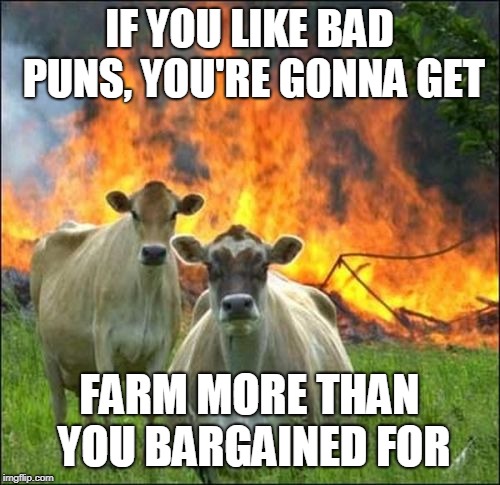 Evil Cows Meme | IF YOU LIKE BAD PUNS, YOU'RE GONNA GET FARM MORE THAN YOU BARGAINED FOR | image tagged in memes,evil cows | made w/ Imgflip meme maker