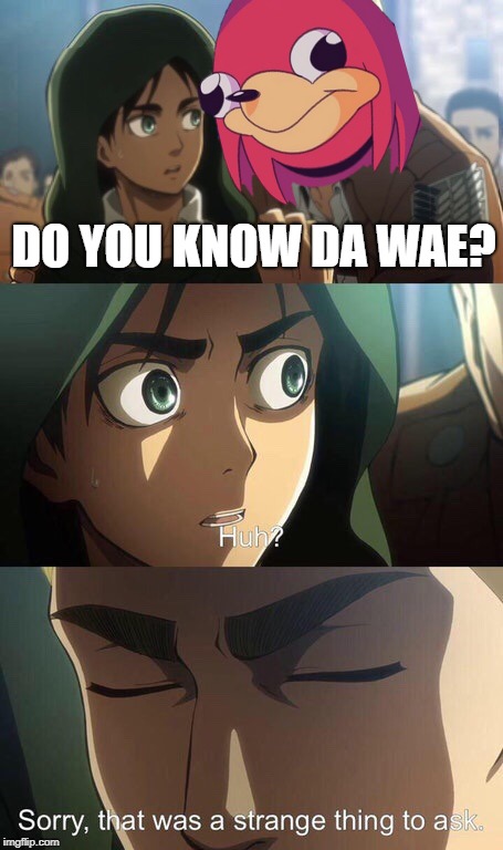 Sorry, dat was ah strange ting to ask | DO YOU KNOW DA WAE? | image tagged in strange question attack on titan,attack on titan,aot,snk,shingeki no kyojin,anime | made w/ Imgflip meme maker