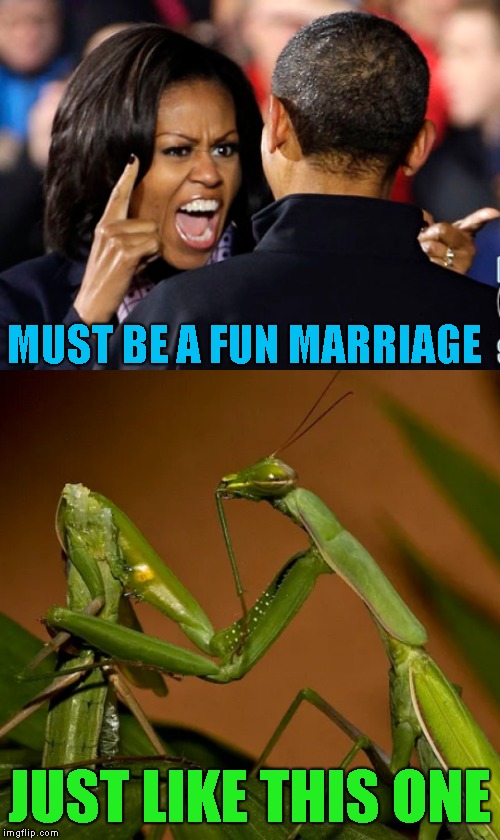MUST BE A FUN MARRIAGE JUST LIKE THIS ONE | made w/ Imgflip meme maker
