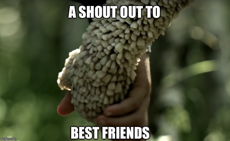 Even the gross ones | A SHOUT OUT TO; BEST FRIENDS | image tagged in channel zero,tv show | made w/ Imgflip meme maker
