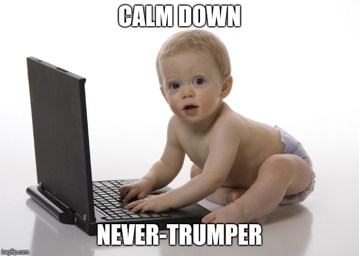 Computer baby | CALM DOWN NEVER-TRUMPER | image tagged in computer baby | made w/ Imgflip meme maker