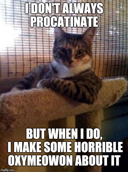 The Most Interesting Cat In The World Meme | I DON'T ALWAYS PROCATINATE BUT WHEN I DO, I MAKE SOME HORRIBLE OXYMEOWON ABOUT IT | image tagged in memes,the most interesting cat in the world | made w/ Imgflip meme maker