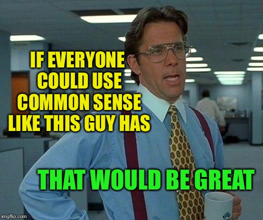 That Would Be Great Meme | IF EVERYONE COULD USE COMMON SENSE LIKE THIS GUY HAS THAT WOULD BE GREAT | image tagged in memes,that would be great | made w/ Imgflip meme maker