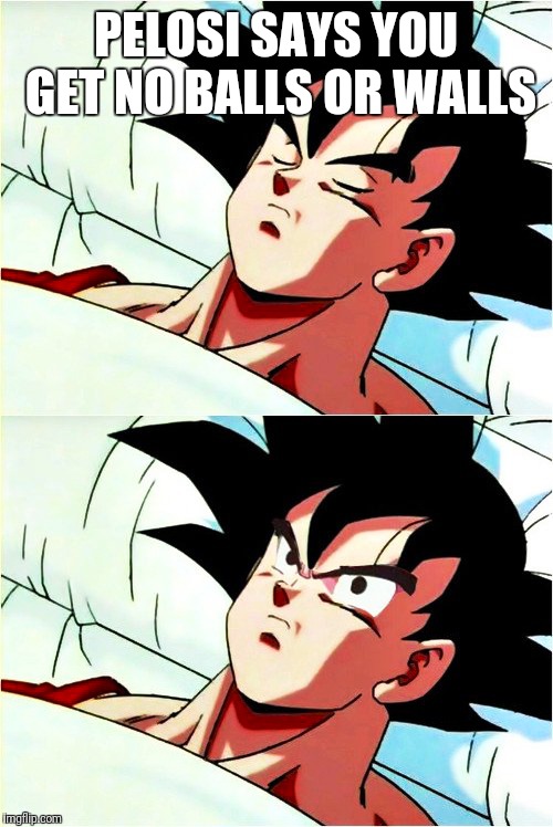 goku sleeping wake up | PELOSI SAYS YOU GET NO BALLS OR WALLS | image tagged in goku sleeping wake up | made w/ Imgflip meme maker