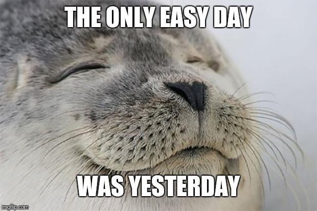 Satisfied Seal Meme | THE ONLY EASY DAY; WAS YESTERDAY | image tagged in memes,satisfied seal | made w/ Imgflip meme maker