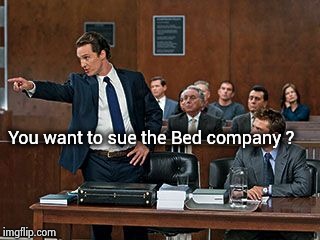 lawyer | You want to sue the Bed company ? | image tagged in lawyer | made w/ Imgflip meme maker