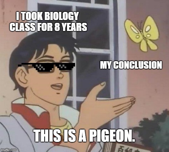 This is a pigeon | I TOOK BIOLOGY CLASS FOR 8 YEARS; MY CONCLUSION; THIS IS A PIGEON. | image tagged in memes,is this a pigeon | made w/ Imgflip meme maker
