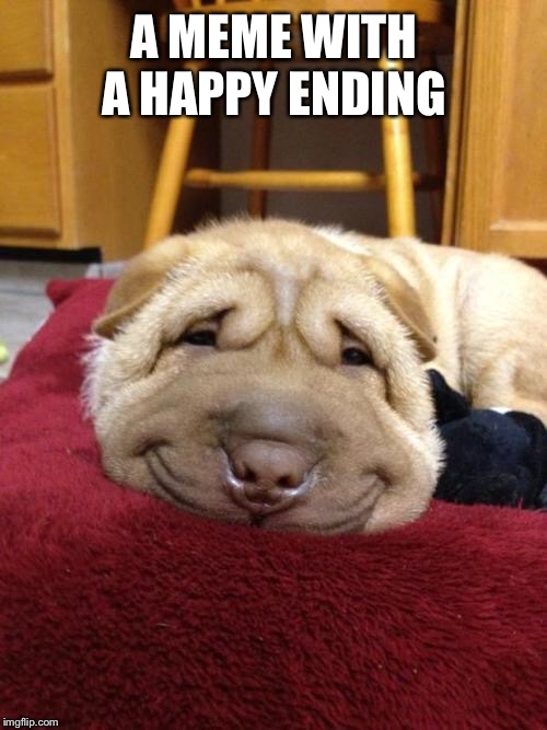 Sad Happy Dog | A MEME WITH A HAPPY ENDING | image tagged in sad happy dog | made w/ Imgflip meme maker