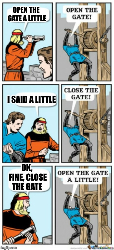 A very dumb meme | OPEN THE GATE A LITTLE; I SAID A LITTLE; OK, FINE, CLOSE THE GATE | image tagged in open the gate a little,dumb,memes,funny memes,open the gate | made w/ Imgflip meme maker