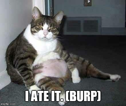 Fat cat | I ATE IT. (BURP) | image tagged in fat cat | made w/ Imgflip meme maker