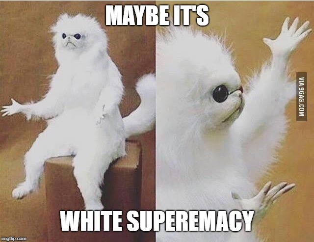 Confused white monkey | MAYBE IT'S WHITE SUPEREMACY | image tagged in confused white monkey | made w/ Imgflip meme maker